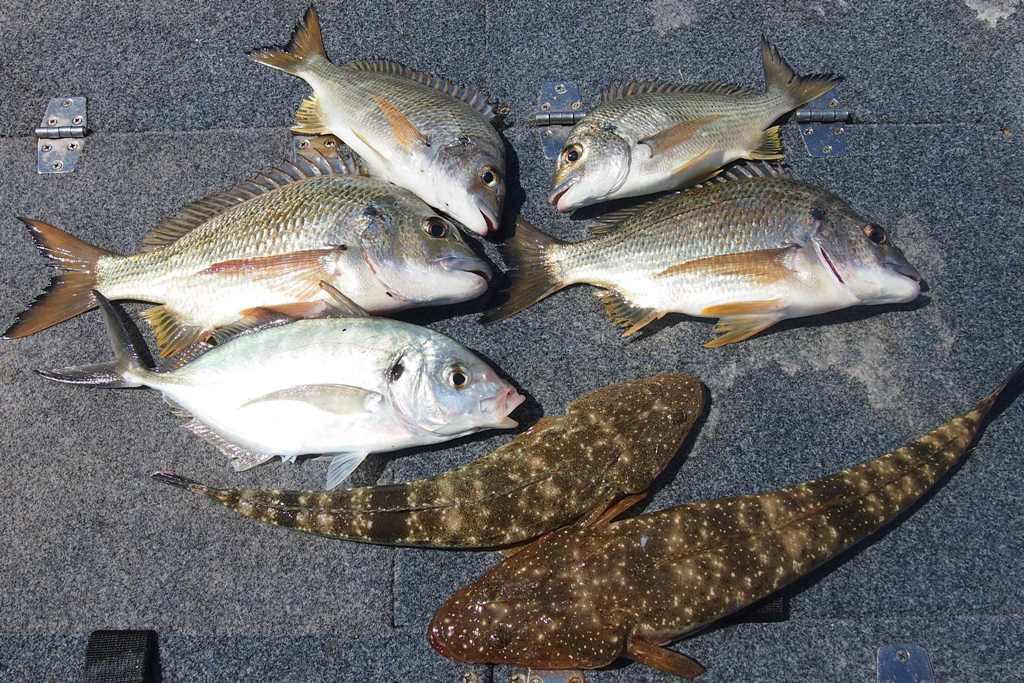 Different types of sinkers and how to use them.